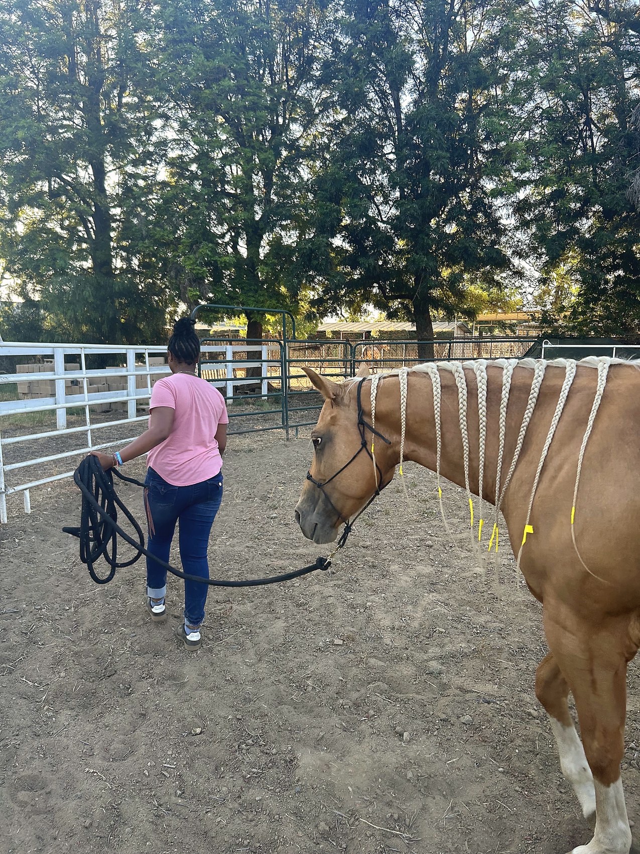 A young person leading a braided palomino horse in the round pen